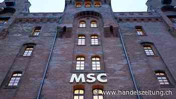 Reederei MSC kann bei Hamburger Hafenlogistiker HHLA einsteigen