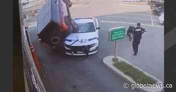 Video shows dramatic police takedown at Tim Horton’s drive-thru in Ontario