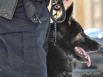 B.C. man awarded $60K after police dog attack without warning