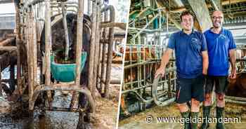 Bij deze boeren hebben de koeien hun eigen wc, en dat toilet is er met een belangrijk doel