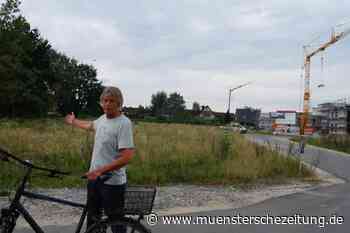 Baugebiet Langebusch: Bezirksbürgermeister kritisiert Entwicklung