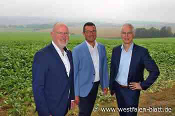 Wie oft Busse künftig durch Steinheim, Nieheim, Marienmünster fahren