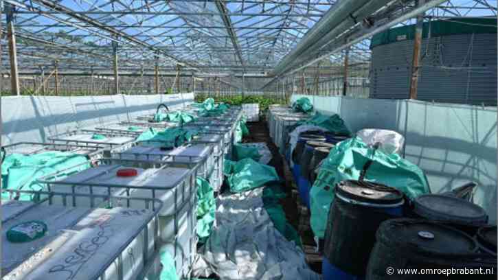 Eerst de pompoenen oogsten, daarna gaat kas vol drugsvaten op slot