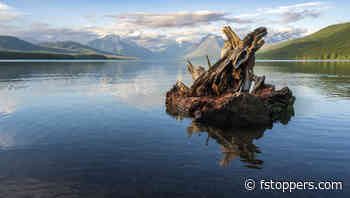 Navigating the Photography Landscape: Five Key Lessons to Enhance Your Journey