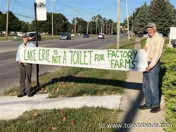 Algal blooms will likely be around for a long time