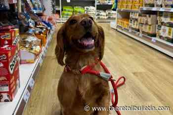 The Range and Wilko stores become dog-friendly