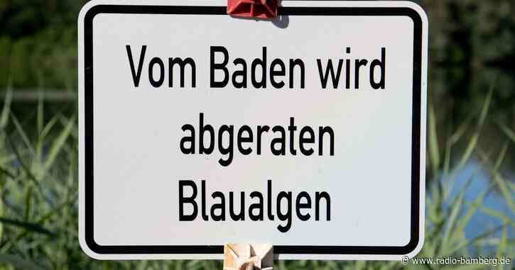 Badewarnung – Vier weitere Gewässer mit Blaualgen belastet