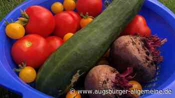 Erntezeit ist die schönste Zeit: Rezepttipps für Tomaten, Gurken und Co.