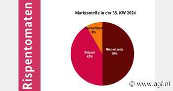 Belgische en Nederlandse trostomaten domineerden in Duitsland