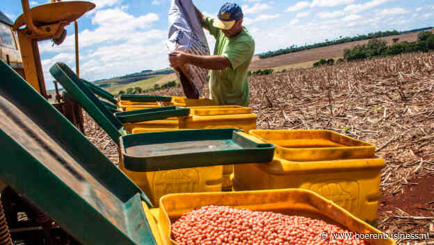 Extreme droogte zet soja in Brazilië op achterstand