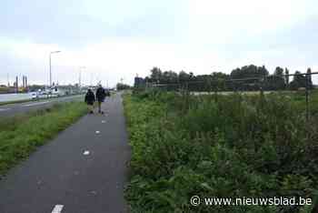 Vrees voor bijkomende verkeersdruk door komst distributiecentrum in Sas van Gent