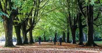 'Cosy season' is almost here - the best things about the autumn months