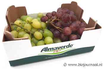 Vraag naar biologische pitloze druiven in de EU: +7%