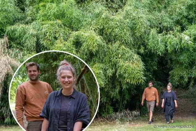 “Help, onze struik blijft maar groeien”: daarom geven Koen en Jade gratis bamboe weg