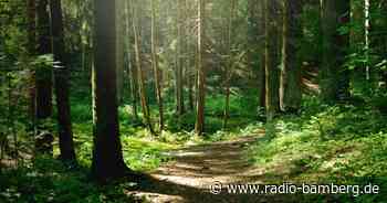 DWD spricht Waldbrandwarnung für Oberfranken aus