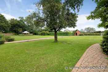 Beringen deelt 3.200 gratis bomen uit aan inwoners