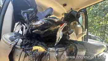 Battery in children's book to blame for N.C. vehicle fire