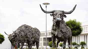 Fleischmarkt: Tönnies übernimmt Rindfleischgeschäft von Vion