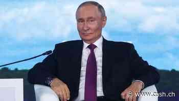 Putin will weiter Gas nach Europa liefern
