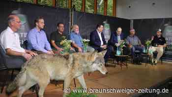 Talkrunde im Otterzentrum Hankensbüttel: „Der Wolf darf bleiben“