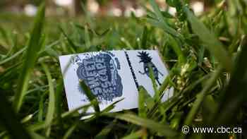 'This is a scam': New Regina music festival a bitter experience for some fans