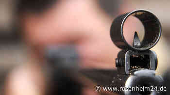 Mit Luftgewehr auf Katze geschossen: Stirbt wenig später unter „offensichtlich starken Schmerzen“