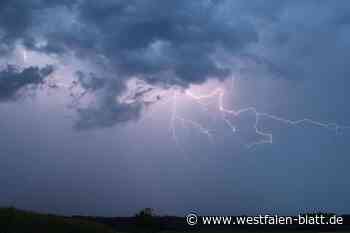 Diepholz: Starkregen fordert Feuerwehren heraus