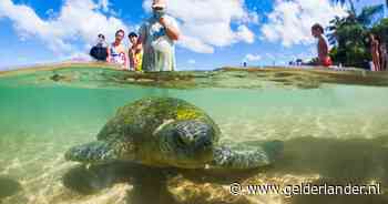 Toeristen weten Sri Lanka weer te vinden na zware jaren: ‘Prachtige natuur en rijke cultuur’