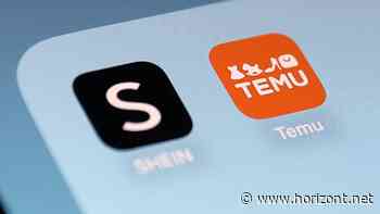 Aktionsplan E-Commerce: Bundesregierung will Temu und Shein ins Visier nehmen