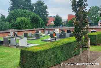 Gemeente verontschuldigt zich voor markering op grafzerken in Olmen