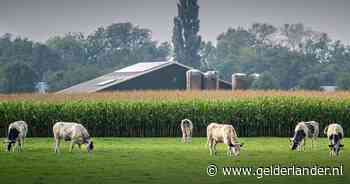 Door het schrappen van de stikstofplannen kan er niet ineens wél worden gebouwd; dit zijn de gevolgen