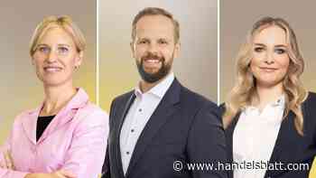 Handelsblatt-Musterdepots: Zukunfts-Depot: Wie neue Industriewälder das CO2-Problem lösen könnten