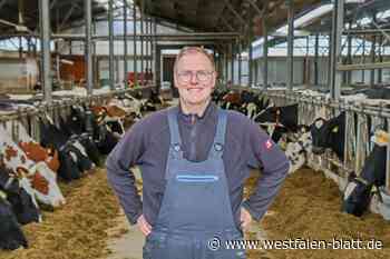 140 Kühe und 2300 Follower auf Milchhof Weskamp in Herste