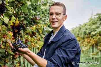 Ciel d’Argent uit Borgloon is eerste Belgische wijn in de rekken bij Aldi