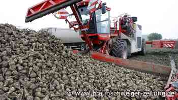 Achtung, „Bauernglatteis“! Rücksicht für die Rübe im Kreis Peine