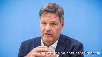 „Dann werden Sie am Markt scheitern“: Hat Habeck das VW-Desaster schon 2019 prophezeit?