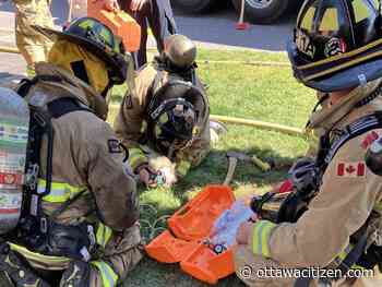 Ottawa firefighters revive dog after basement fire in south end