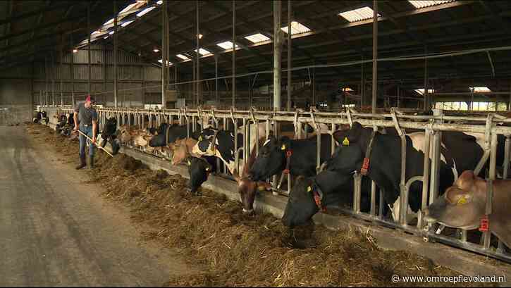 Flevoland - Provincie kan geld aanvragen om PAS-melders te helpen