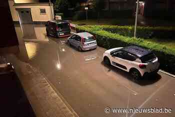 Wolkbreuk boven Sint-Truiden: fruittelers vrezen ergste