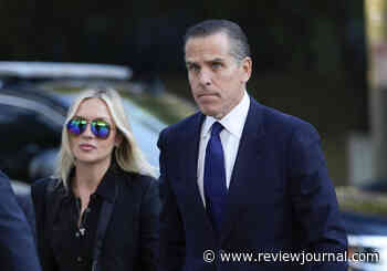 Judge in Hunter Biden’s federal tax trial urged to reject plea change