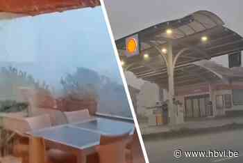 Onweer houdt lelijk huis in Vlaanderen en Wallonië: fruittelers in Haspengouw vrezen het ergste