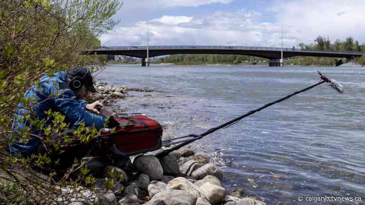 'Relaxed and stress-free': Ring the Bow River to reconnect with nature