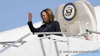 Decision 2024 updates: Trump pitches Elon Musk commission, Hunter Biden pleads guilty in Los Angeles