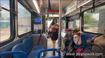 Tampa’s most popular bus route could become fare-free