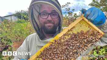Beekeeper inspired by grandfather's long lost hives