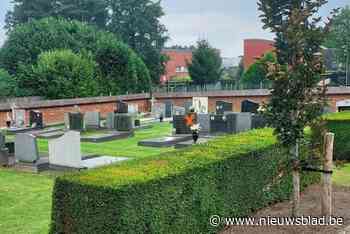 Gemeente verontschuldigt zich voor wel heel opvallende markering op grafzerken