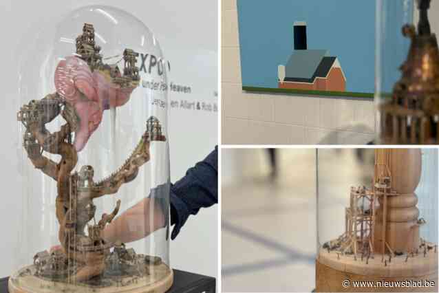 Weidse schoonheid en miniatuurwerelden onder de stolp: expo van Jeroen Allart en Rob Buelens in CC Binder combineert totaal verschillende kunstwerken
