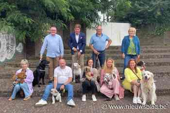 Nultolerantie, betere dienstverlening en een hart voor dieren: N-VA Boom lanceert speerpunten