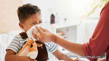 Simple saline drops shown to cut common cold by DAYS in children - and reduce transmission