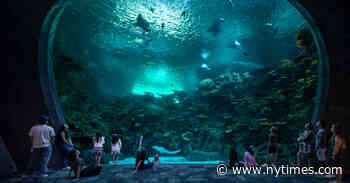 Architects Are Coaxing Downtowns Back to Life